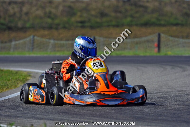 DSC_ (1671).jpg